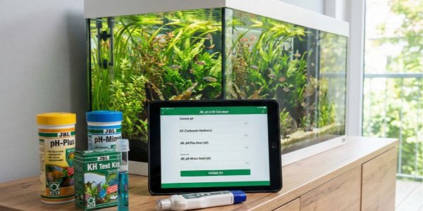 Ajuste de pH com JBL pH-Plus e pH-Minus