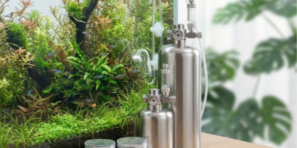 Assistente Cilindro CO2 ZRDR